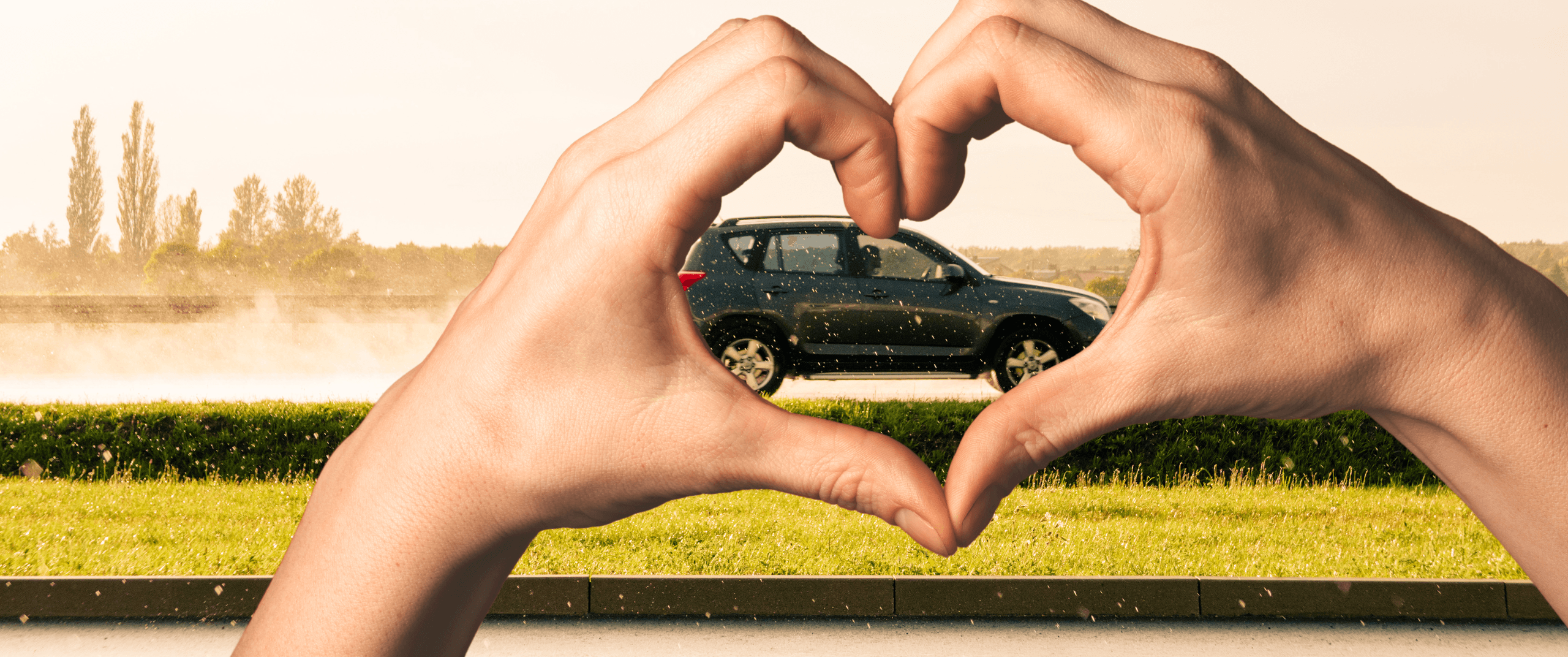 Why do we love our cars so much?